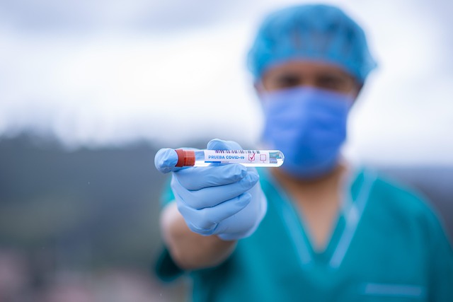 Navigating Dental Care Coverage: What You Need to Know About Dental Insurance